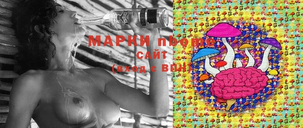 стаф Арсеньев